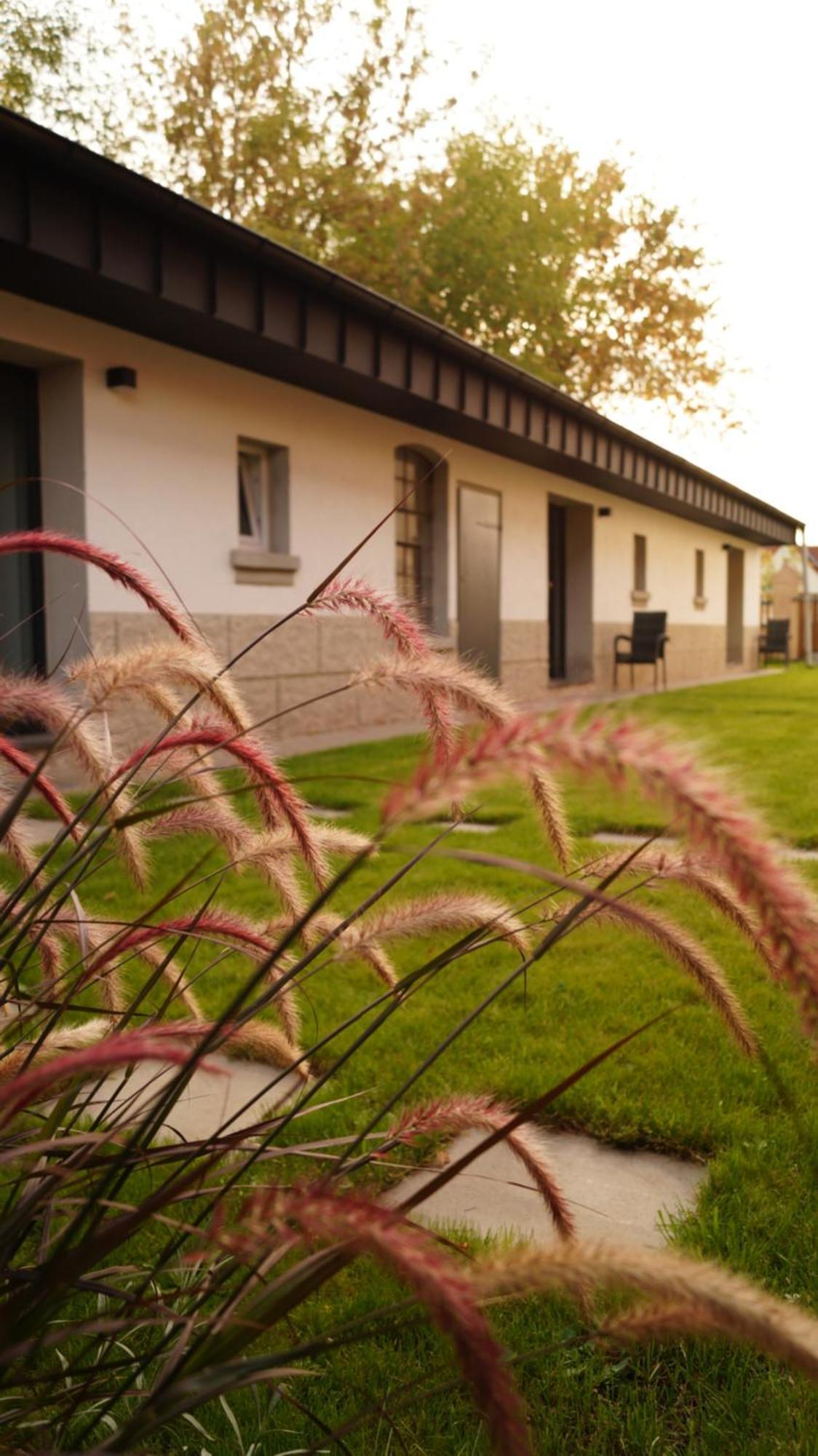 Appartement Remise Brasch - Zwischen Bahnhof Und Elbe à Wittenberge Extérieur photo